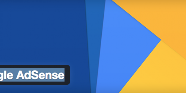 WordPress Google AdSense Eklenti Çıktı