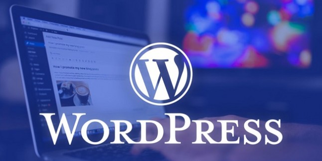 WordPress sitesi Güvenliği Neden Önemlidir? Neden Güncel tutmalıyız?