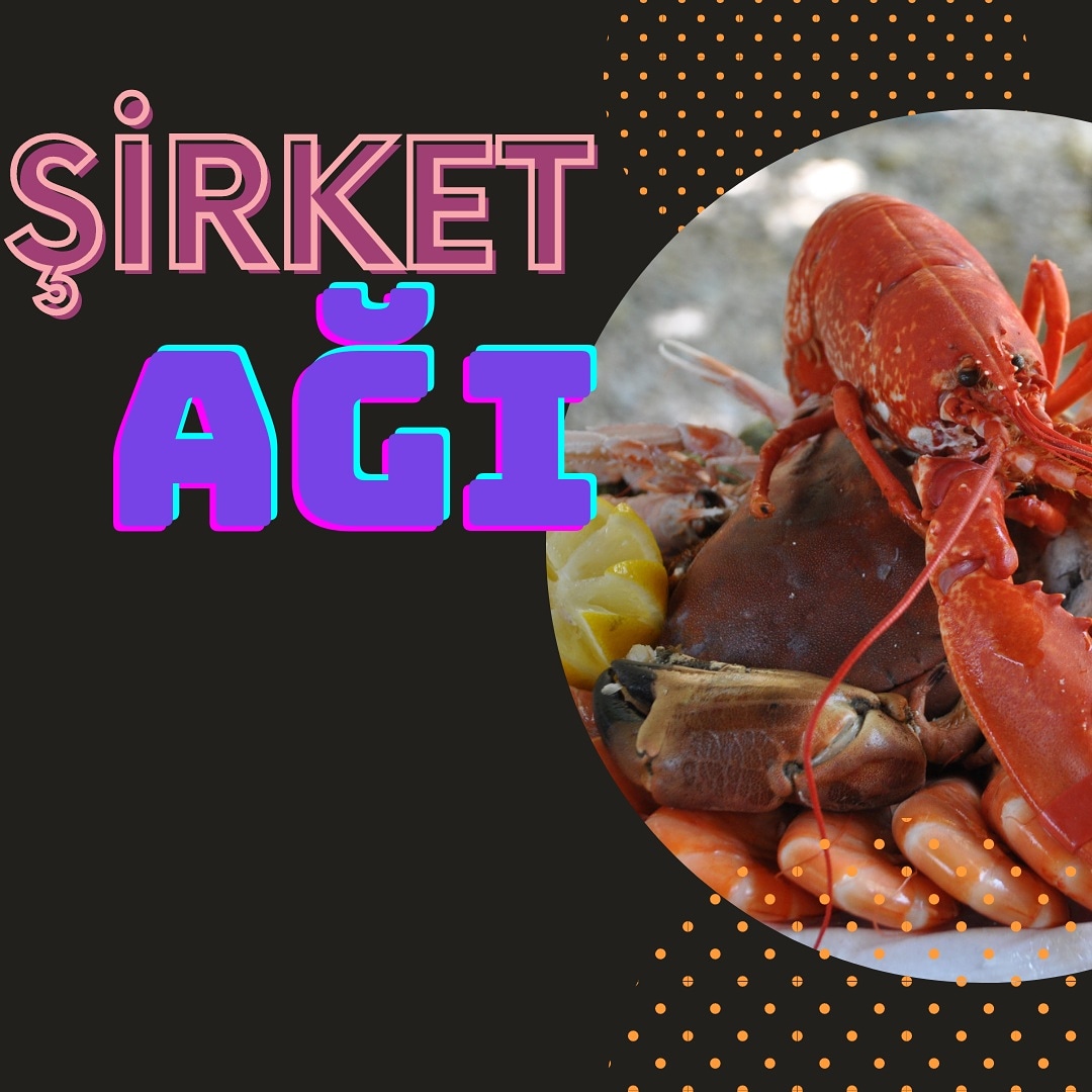 Şirket Ağı